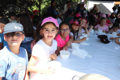 IMG_1413-Copy